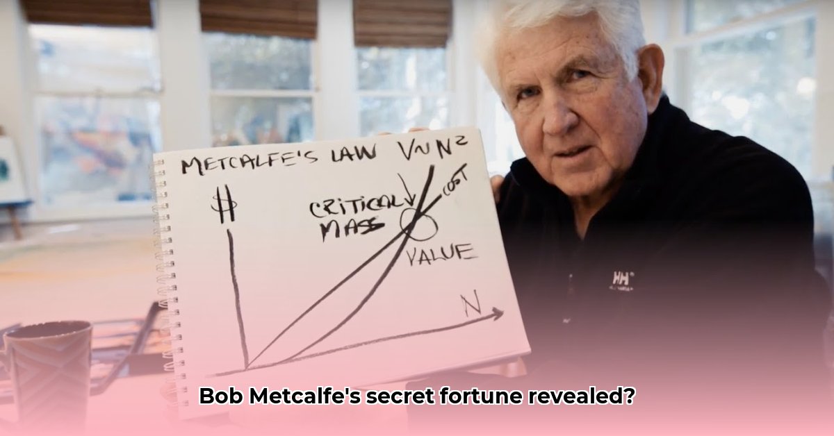 bob-metcalfe-net-worth